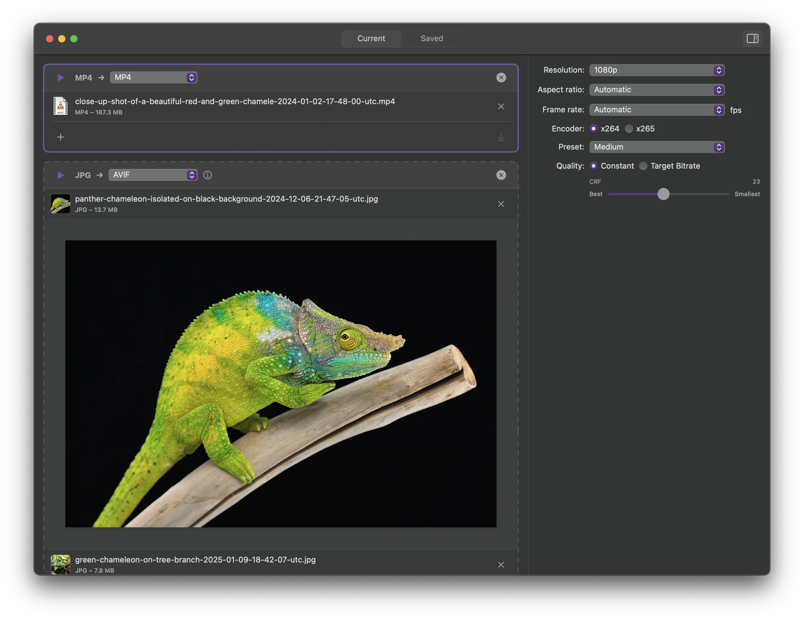 Chameleon app screenshot
