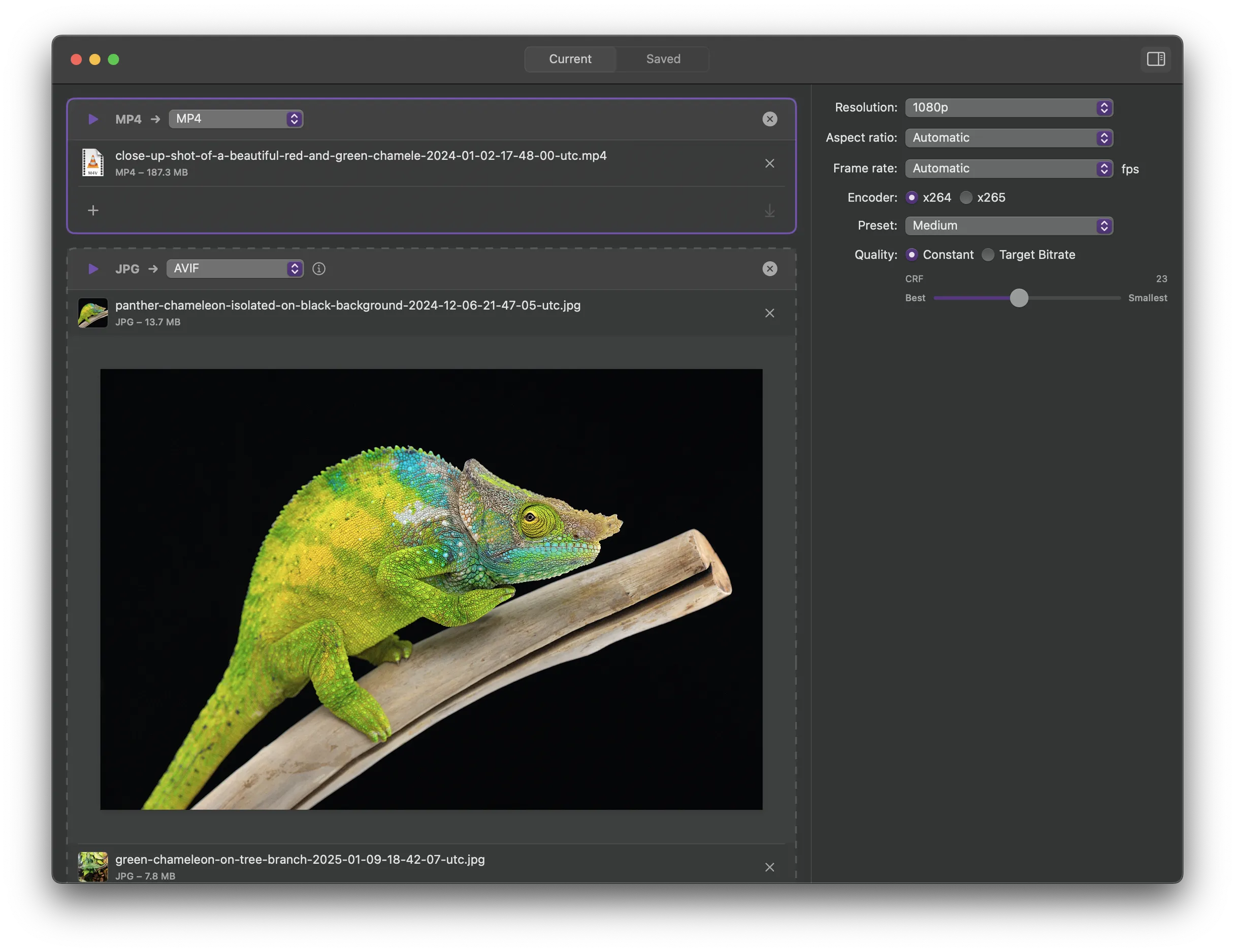 Chameleon app screenshot