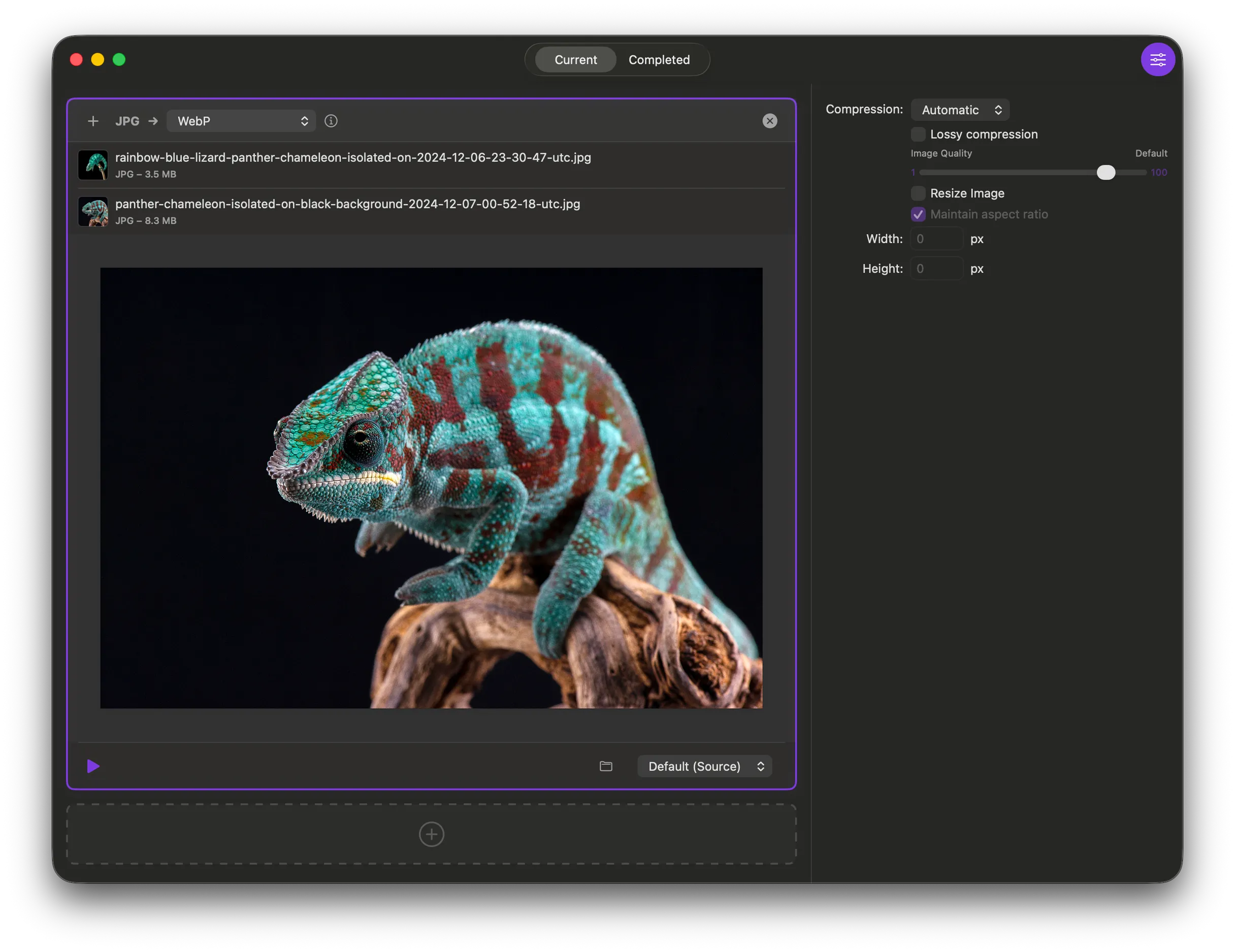Chameleon app screenshot