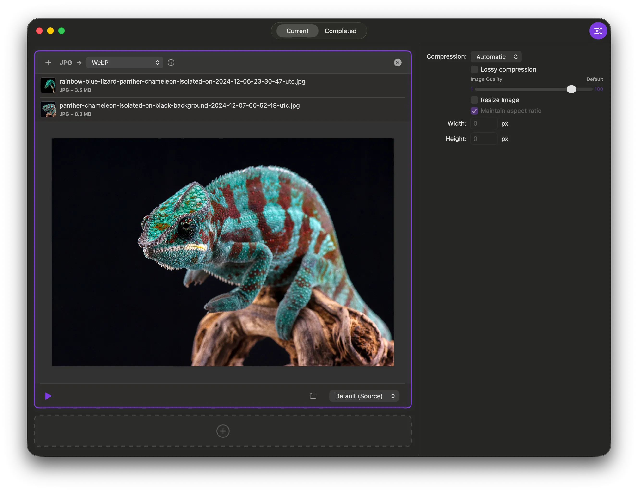 Chameleon app screenshot