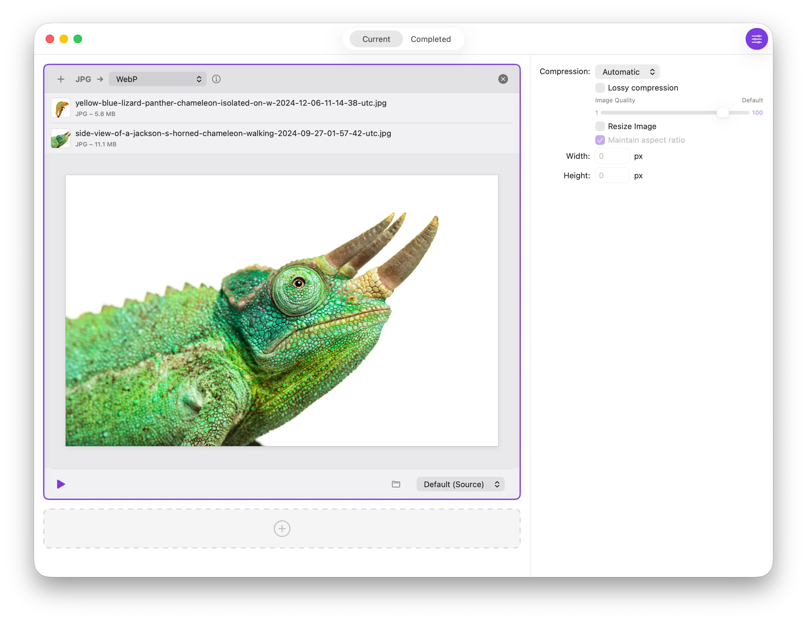 Chameleon app screenshot