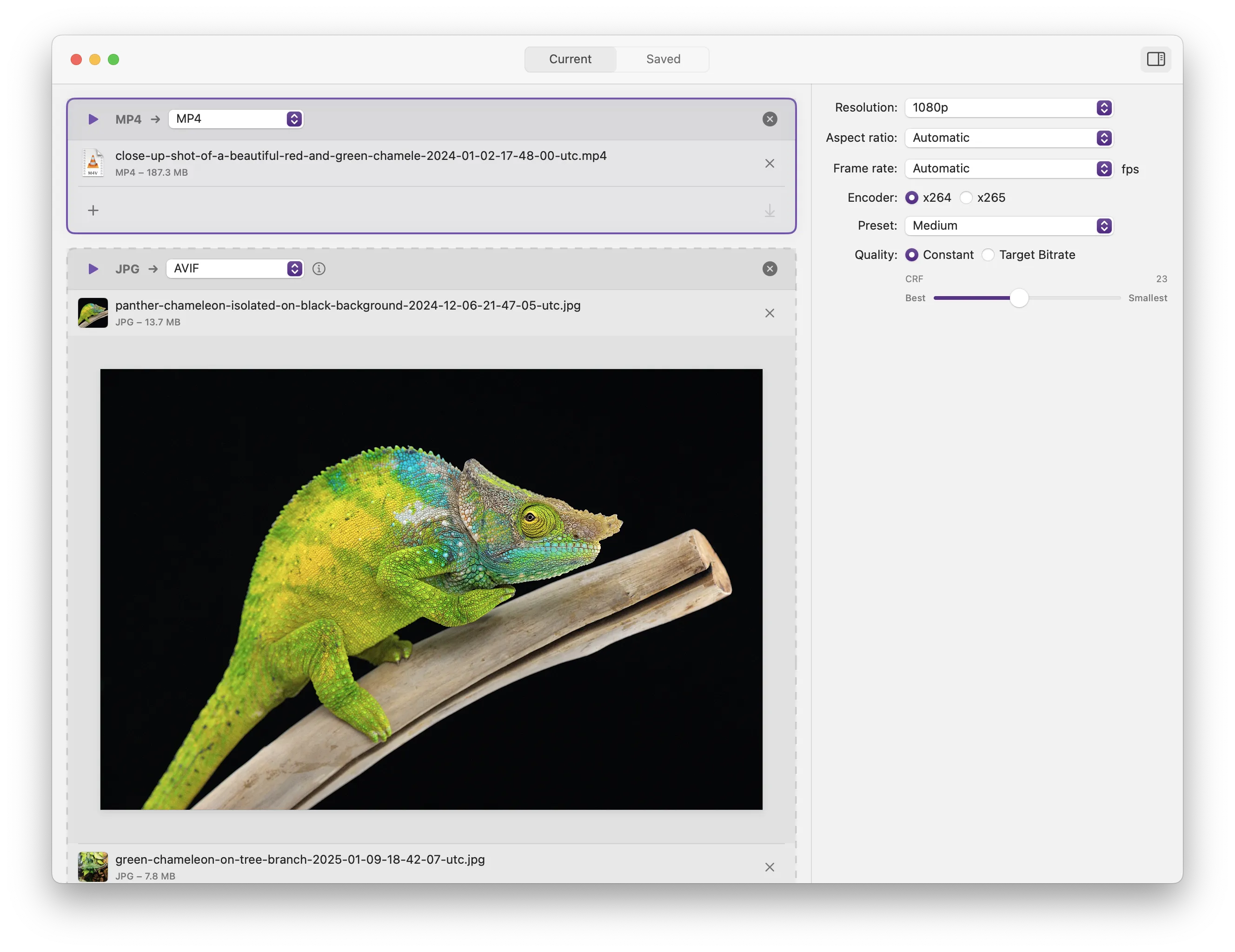 Chameleon app screenshot